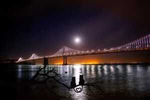 Moon in Aquarius Meaning: How This Air Sign Feels, Loves, and Needs Space